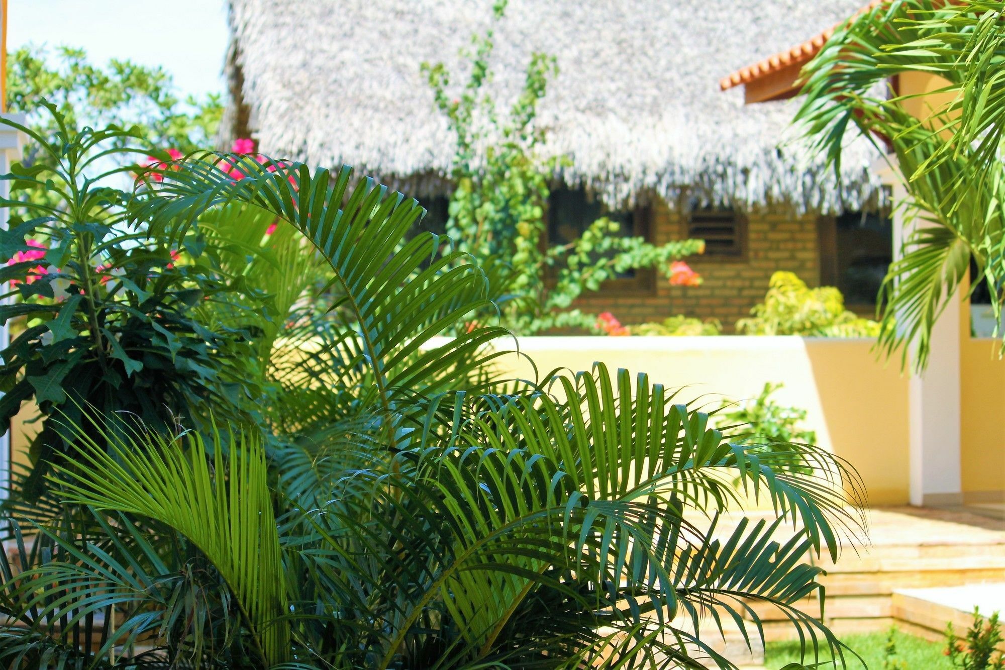 Hotel Villa Beija Flor Jericoacoara Extérieur photo