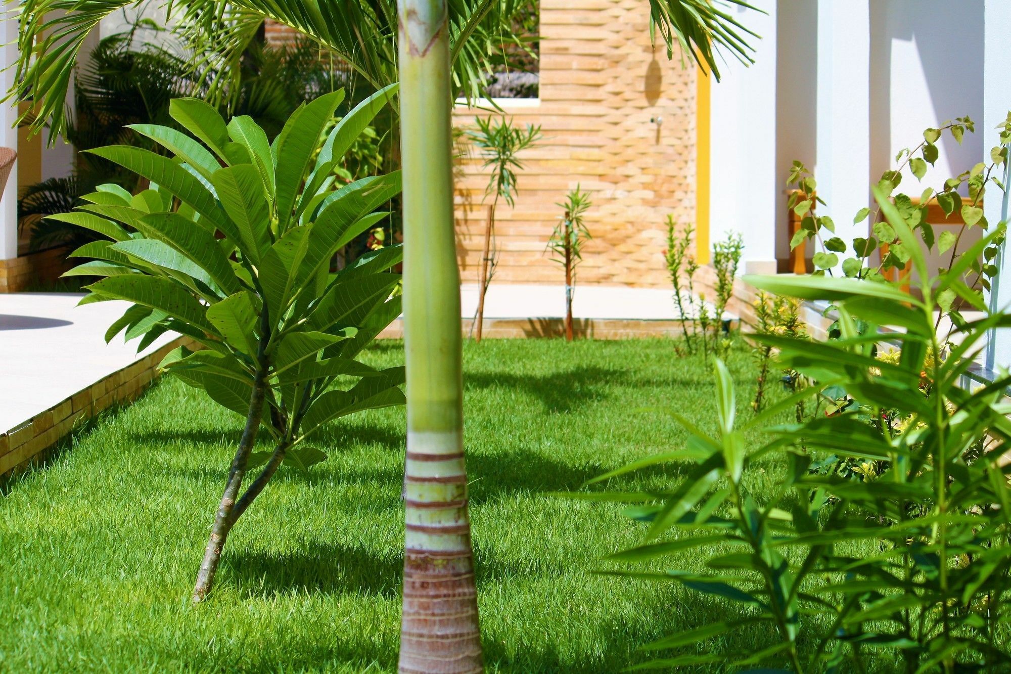 Hotel Villa Beija Flor Jericoacoara Extérieur photo